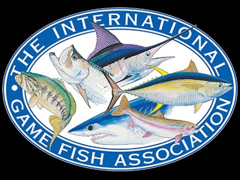 the game fish association