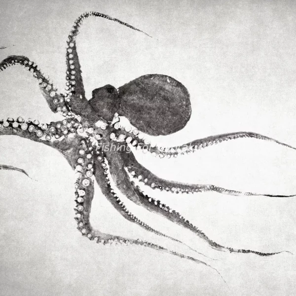 Flying Octopus Reproduction gyotaku