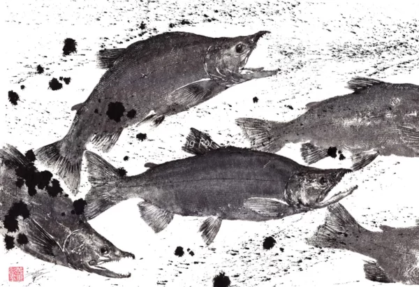 Sockeye Salmon "Rush of Sockeyes" Reproduction