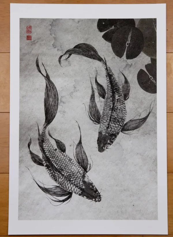 Pair of Japanese Butterfly Koi Reproduction