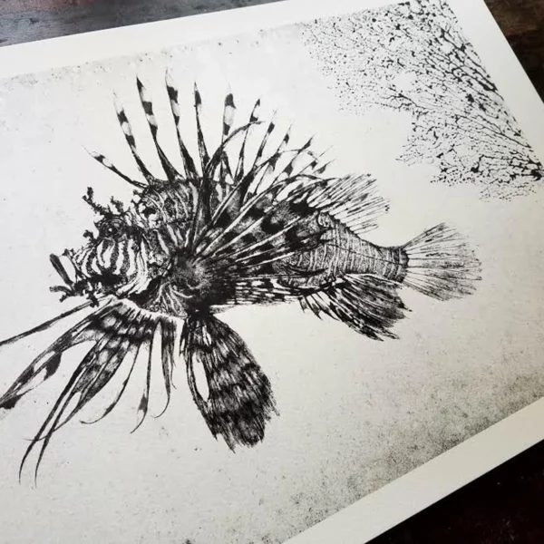 Lionfish "Mino Kasago" Reproduction gyotaku