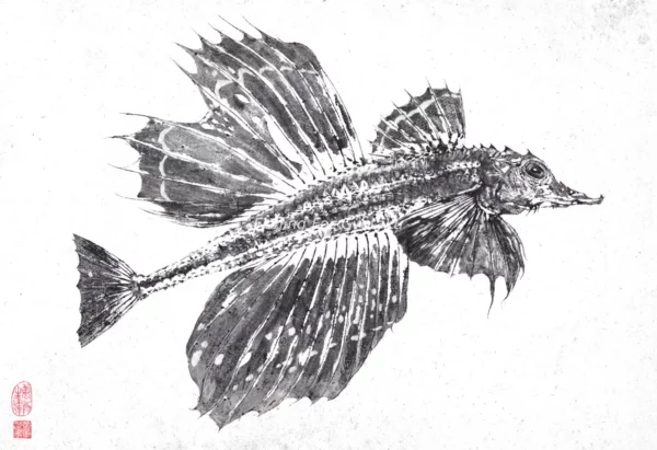 Dragon Fish or Sailfin Poacher (Hakkaku) Reproduction gyotaku