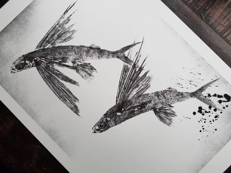 Pair of Flying Fish (Tobiuo) Reproduction gyotaku