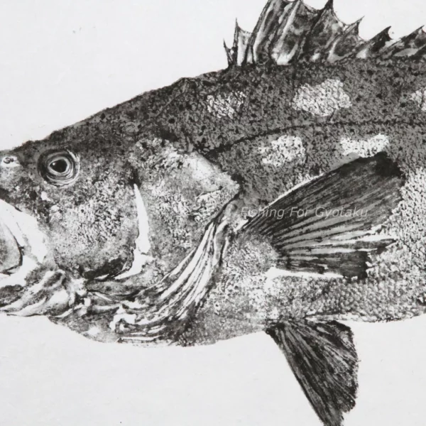 Calico Bass or Kelp Bass Reproduction gyotaku