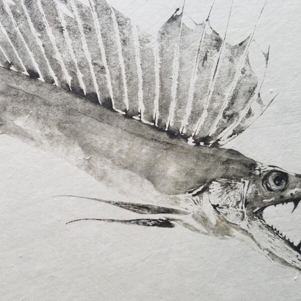 Lancetfish - Deep Water Serpent Reproduction gyotaku