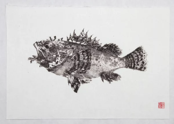Scorpion Fish or Izu-Kasago Reproduction gyotaku