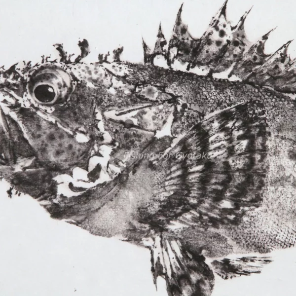 Scorpion Fish or Izu-Kasago Reproduction gyotaku