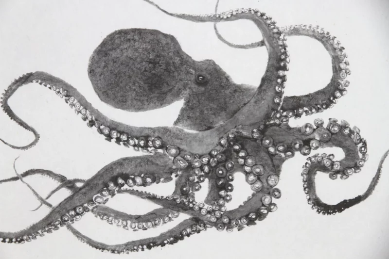 Crawling Octopus Reproduction
