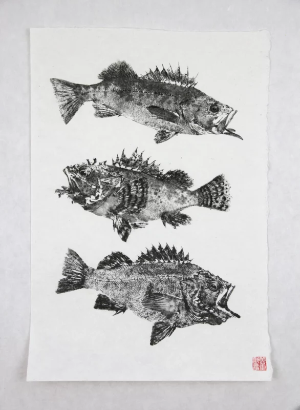 Rockfish West Pacific Reproduction gyotaku