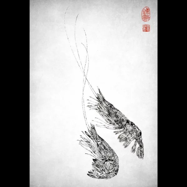 Ikebana Spot Prawns gyotaku