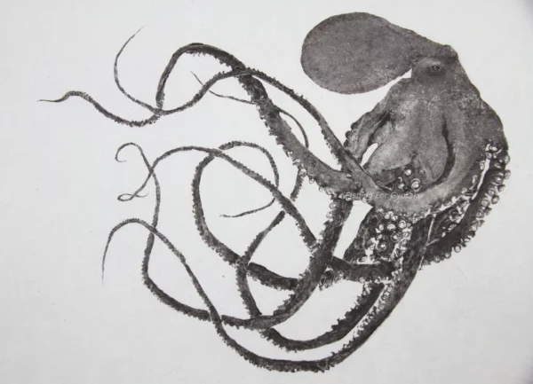Octopus "Cruising Octopus" gyotaku