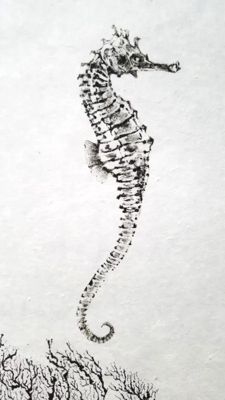 Seahorse "Royal Horseman" Reproduction gyotaku