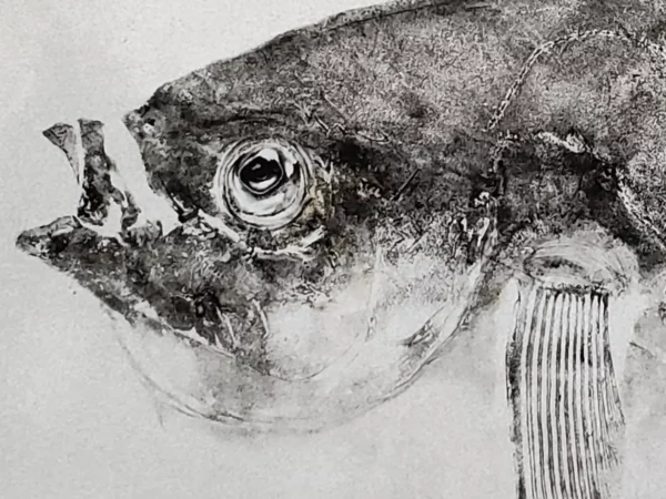 Duo of Moonfish "Akamanbo" Reproduction gyotaku