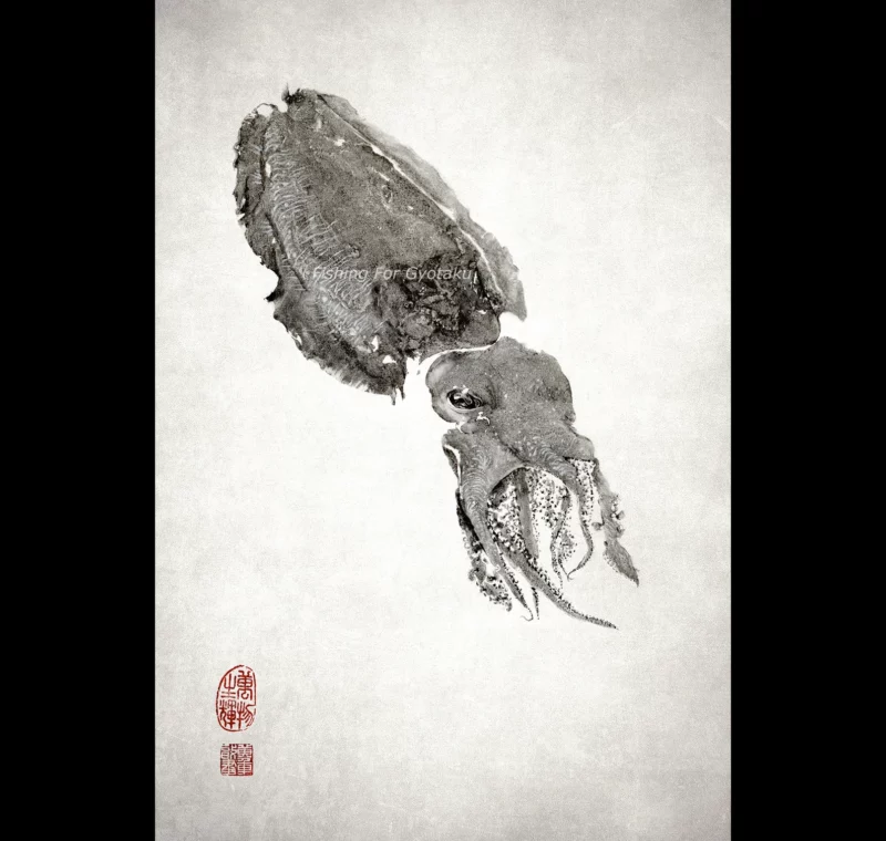 Cuttlefish "Kou-ika" Reproduction gyotaku