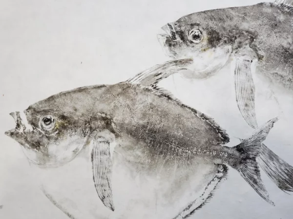 Duo of Moonfish "Akamanbo" Reproduction gyotaku