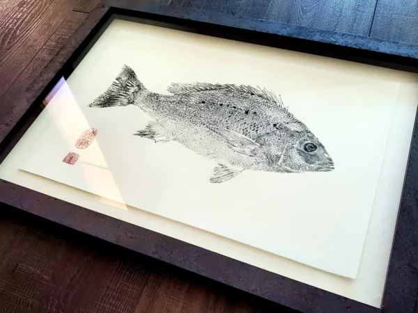 Trout & Fly Reproduction gyotaku