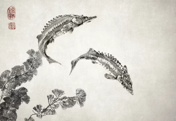 Green Sturgeon (chou-zame or Butterfly Shark) Reproduction gyotaku