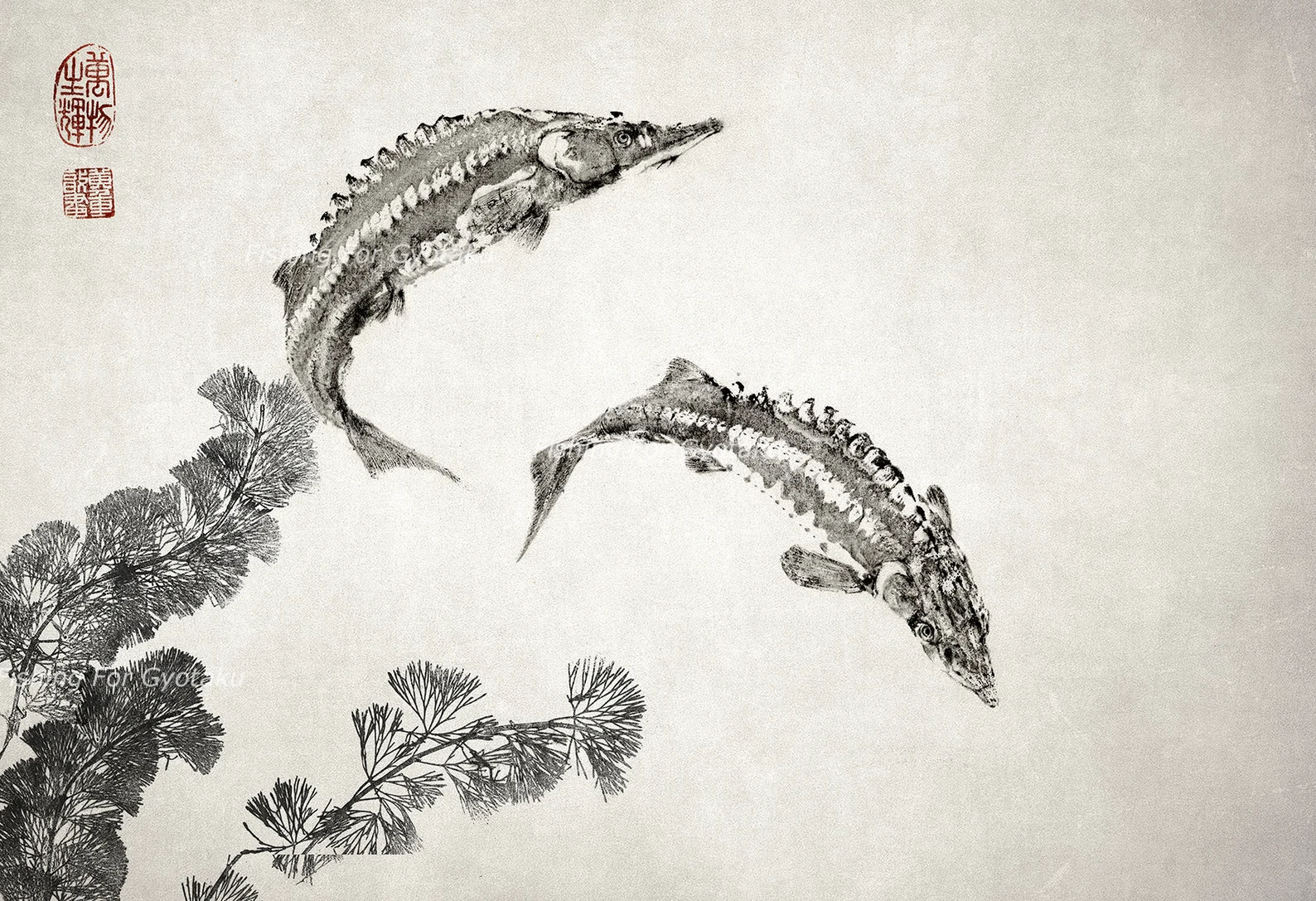 Green Sturgeon (chou-zame or Butterfly Shark) Reproduction gyotaku