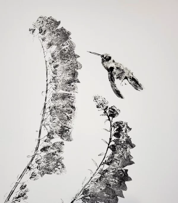 Hummingbird #2 gyotaku