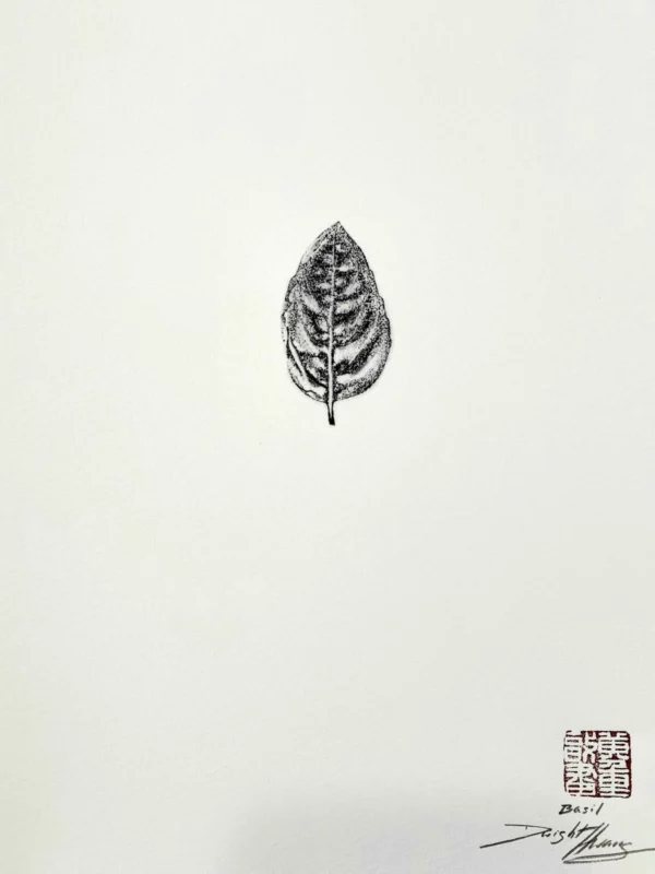 Basil Leaf Reproduction Gyotaku