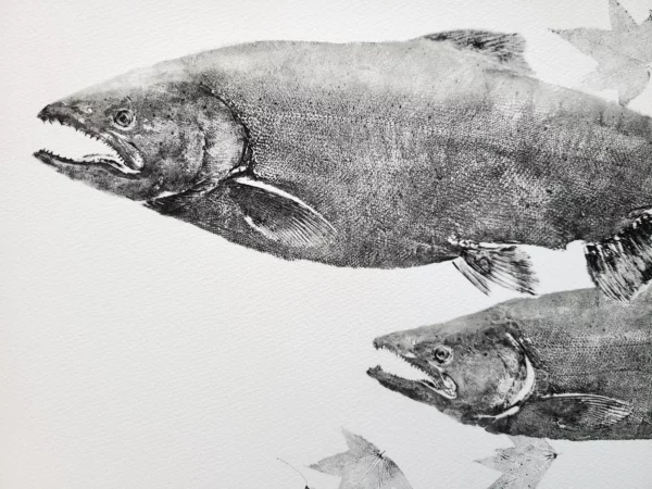 Chinook King Salmon Pair with Autumn Leaves Reproduction gyotaku