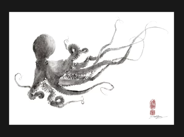 Octopus Magical Flying Carpet Reproduction gyotaku