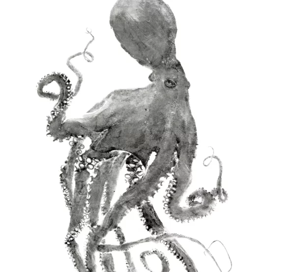 Octopus Dancing Queen gyotaku