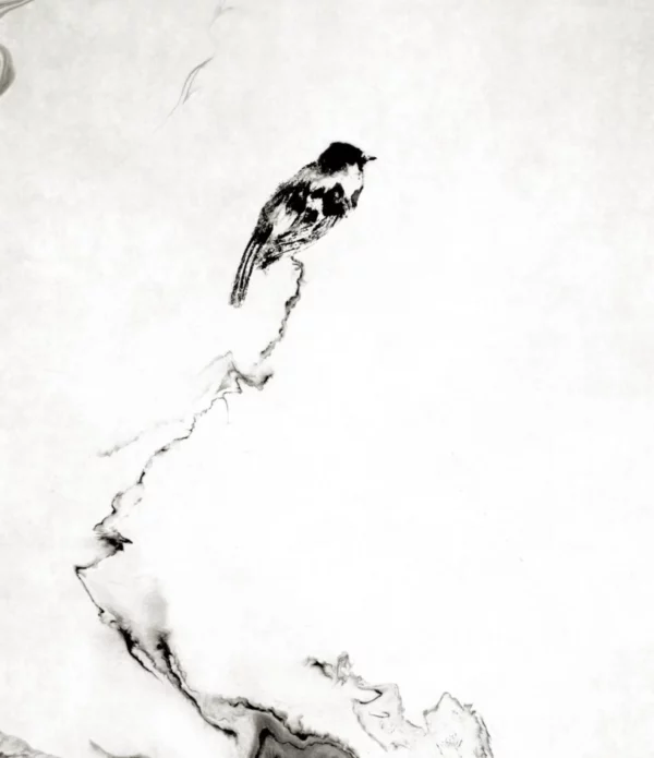 Songbird Reproduction gyotaku