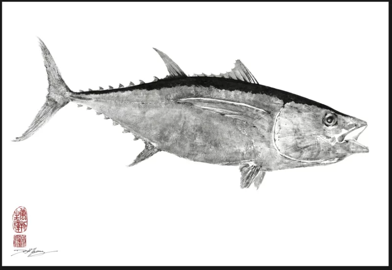 Ahi Tuna "Mebachi" Reproduction gyotaku