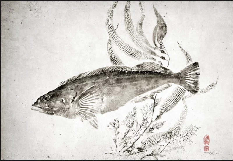 Lingcod with Giant Kelp Reproduction gyotaku