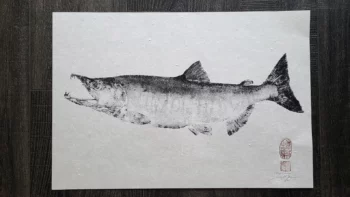 Chum Salmon Reproduction gyotaku