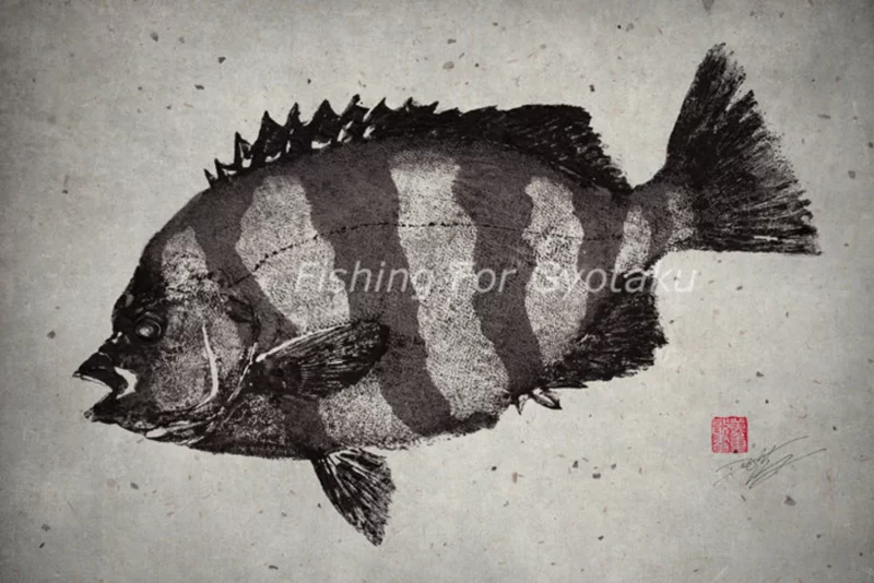 Striped Knife Jaw / Beak Fish (IshiDai) Reproduction gyotaku
