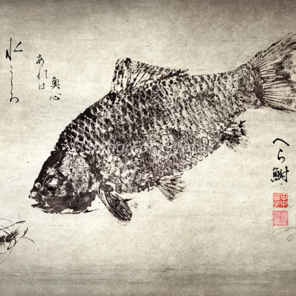 Crucian Carp with River Shrimp Reproduction gyotaku