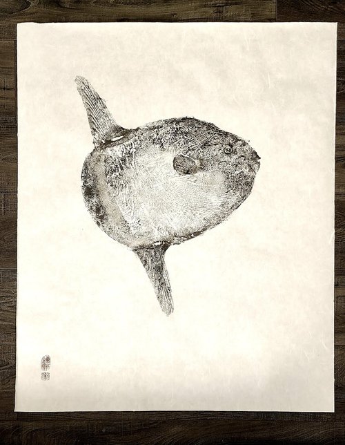 Mola Mola (Ocean Sunfish) gyotaku