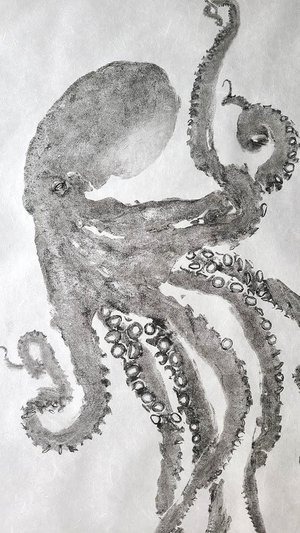 “Gentle Touch” - Giant Pacific Octopus #3