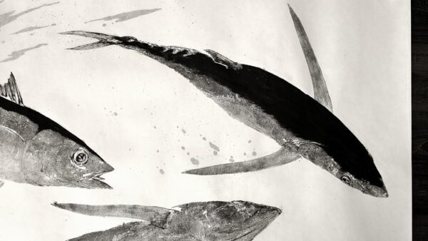 "Acrobatic Albacore" gyotaku