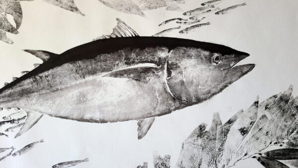 Bluefin Tuna Kelp Anchovies gyotaku