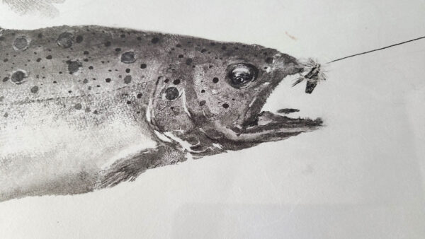 Salmon gyotaku
