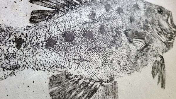 Sea Bass Gyotaku