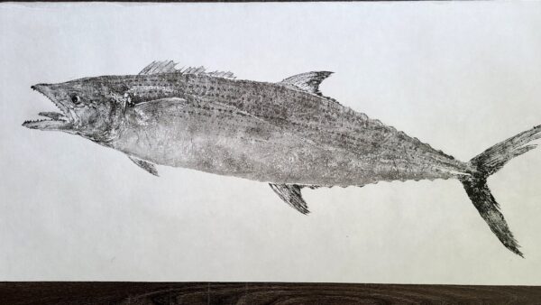 Spanish Mackerel gyotaku fish print