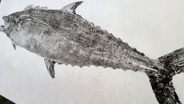 Spanish Mackerel gyotaku fish print