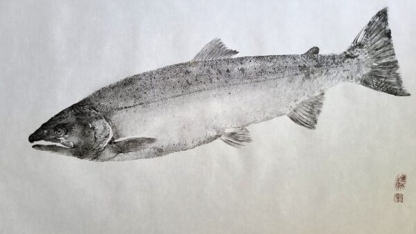 Chinook salmon gyotaku