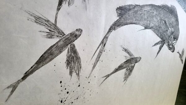 Flying Fish Gyotaku