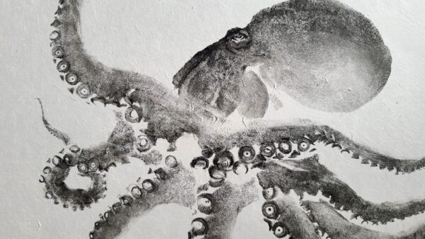 gyotaku octopus print