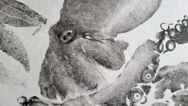 Octopus Gyotaku fish print