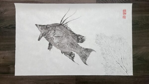 hogfish gyotaku