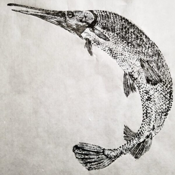 gar fish gyotaku