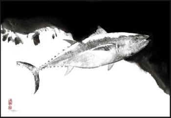 Kuroshio Bluefin Tuna