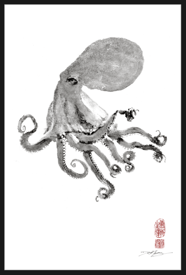European Octopus Petite