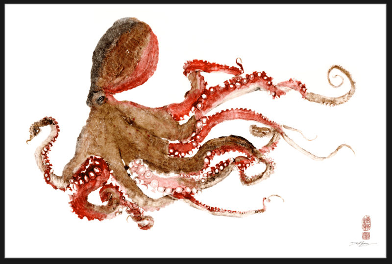 European Octopus Red & Brown Color